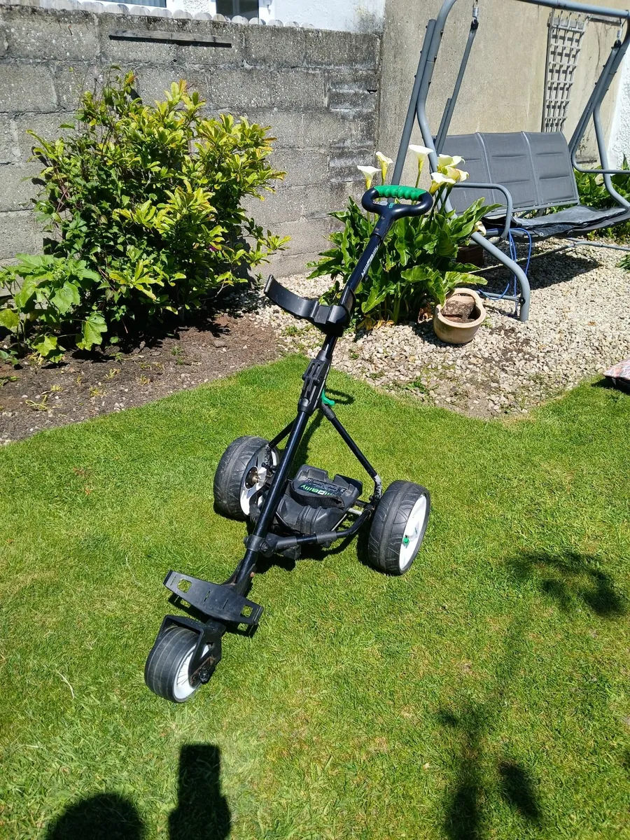 Golf Buggy - Image 4