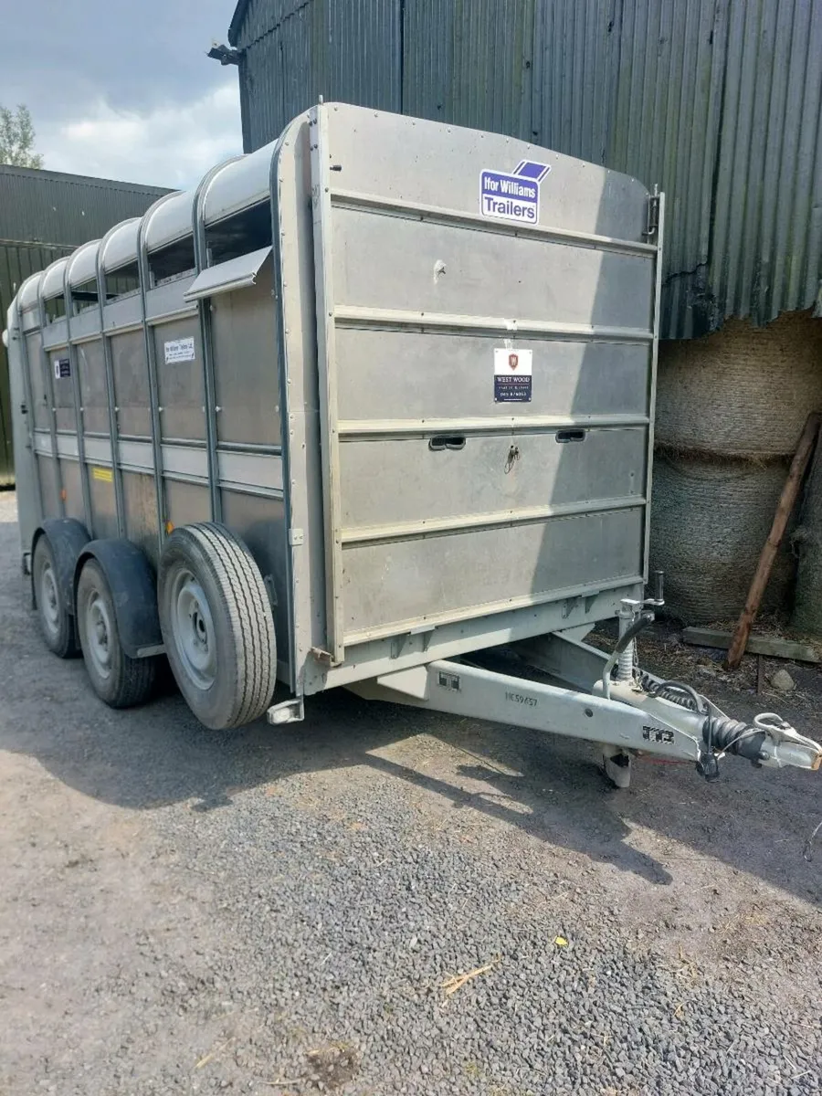 Cattle Trailor Ifor Williams 12 x 5 10 - Image 1