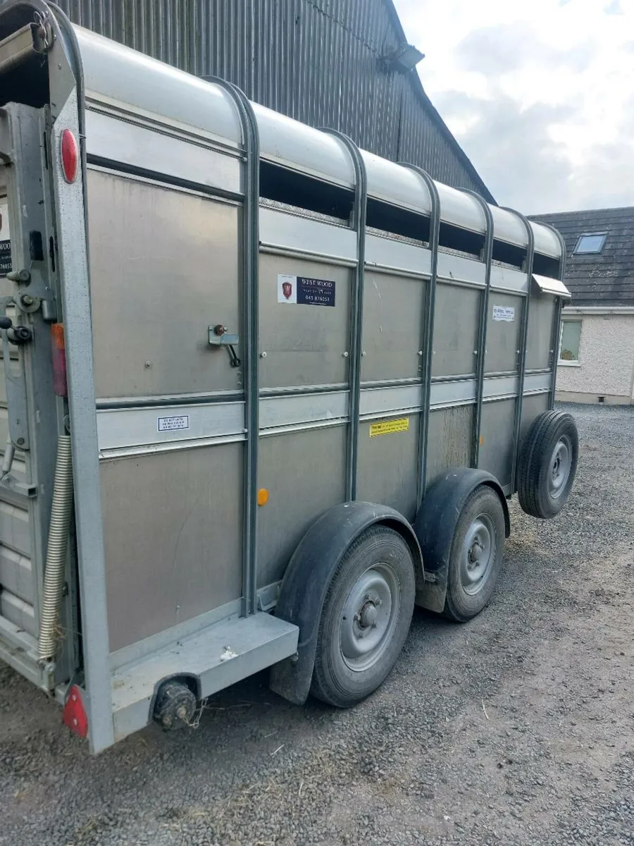 Cattle Trailor Ifor Williams 12 x 5 10 - Image 4