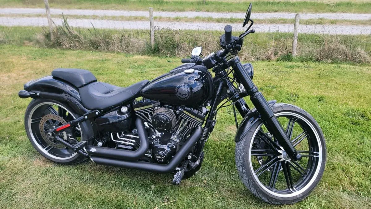 Harley Davidson breakout - Image 4
