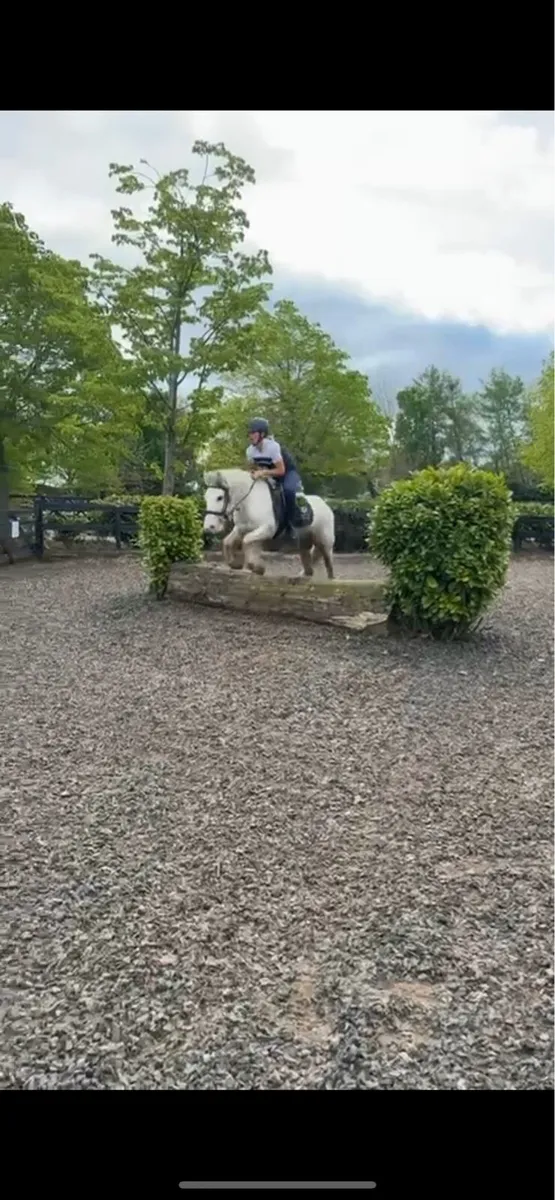 *! Ultimate kids safe cob !* - Image 1