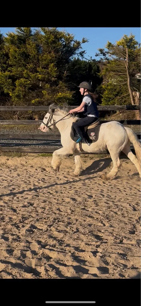 *! Ultimate kids safe cob !* - Image 2