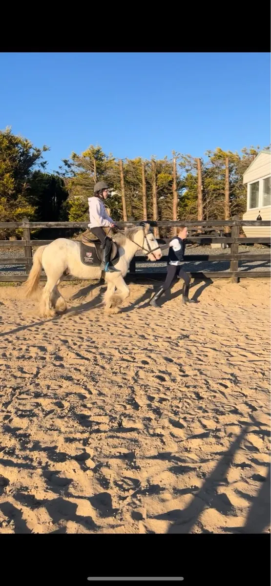 *! Ultimate kids safe cob !* - Image 3