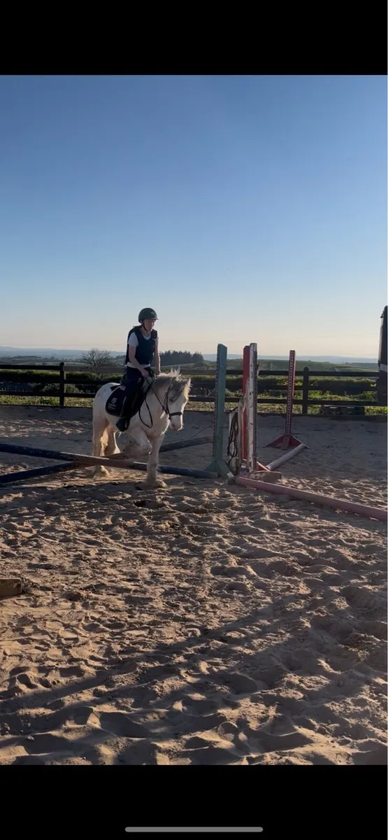 *! Ultimate kids safe cob !* - Image 4