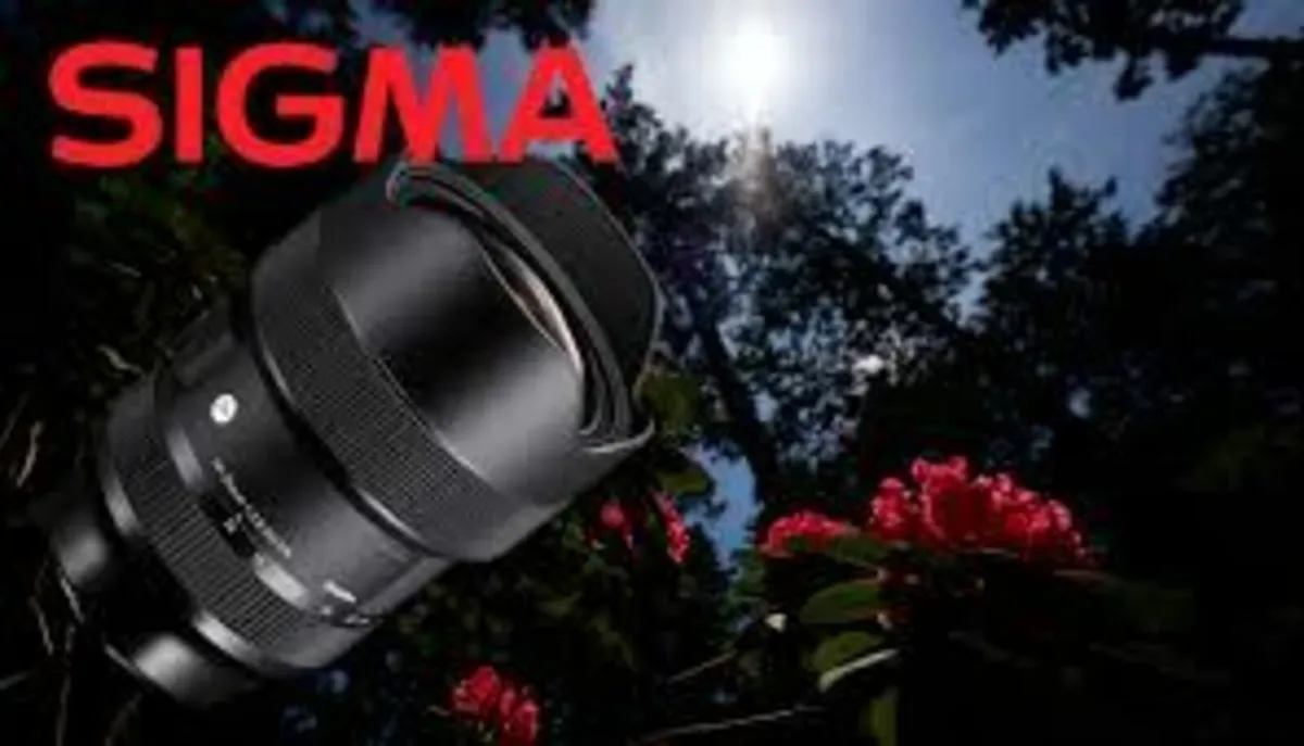 Sigma L mount Panasonic S 14-24mm f2.8 as new swap - Image 3