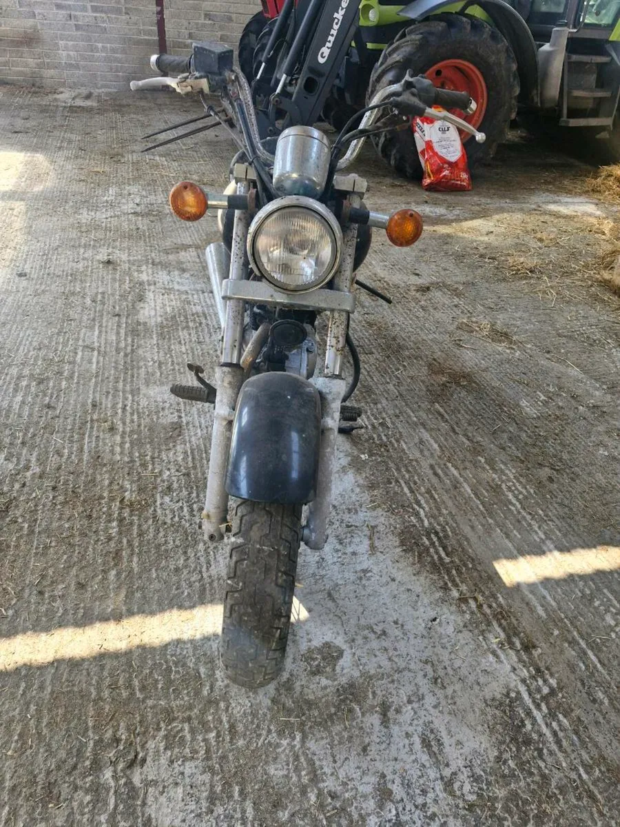 Suzuki - Image 2