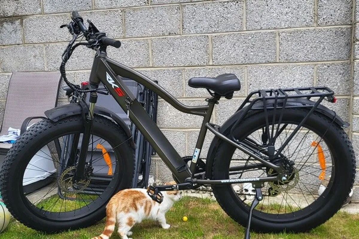RKS HS15 Electric Bike - Image 1