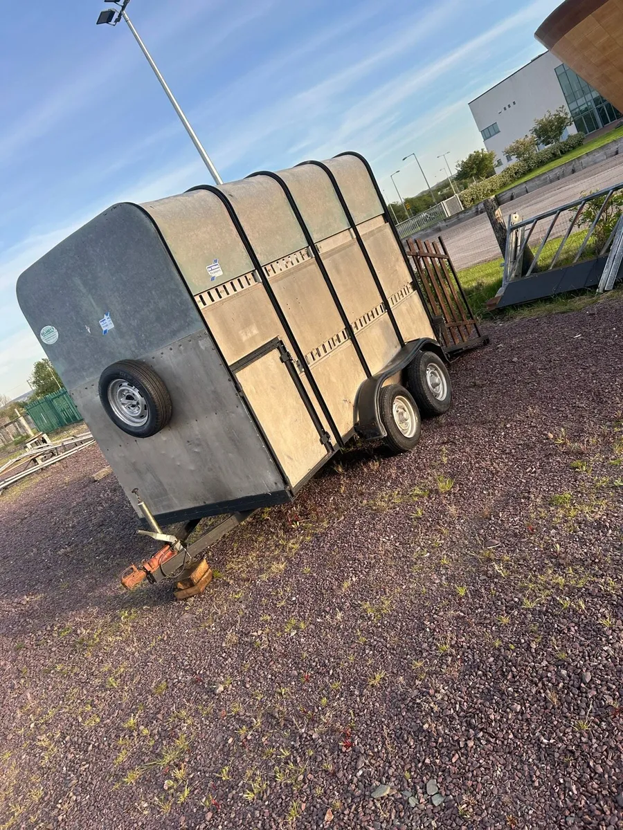 Cattle/Horse Box - Image 2