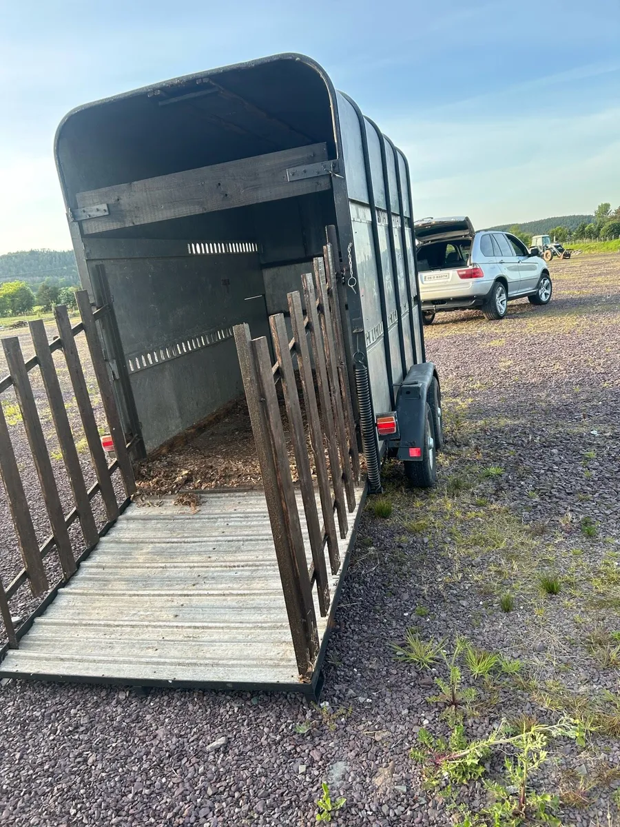 Cattle/Horse Box - Image 4
