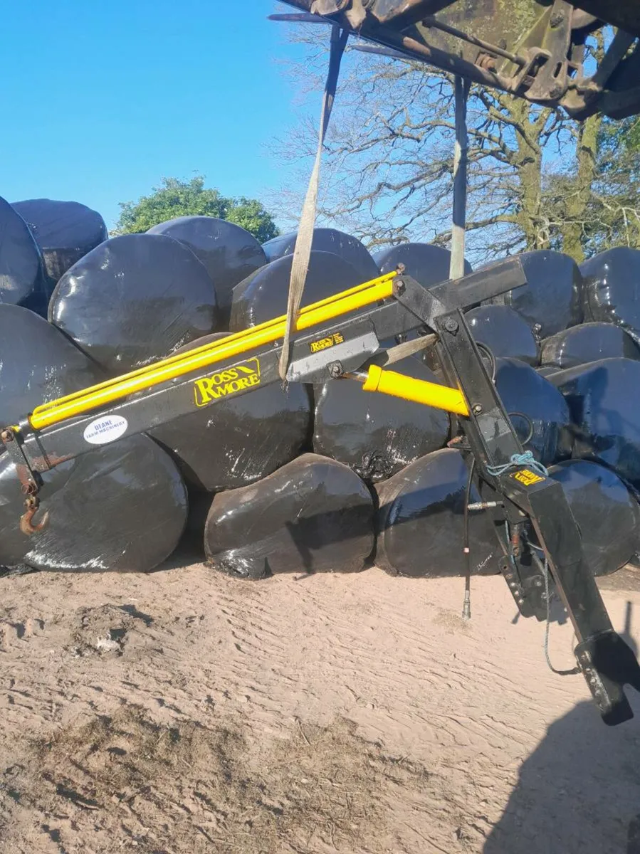 Fertilizer spreader crane hoist - Image 1