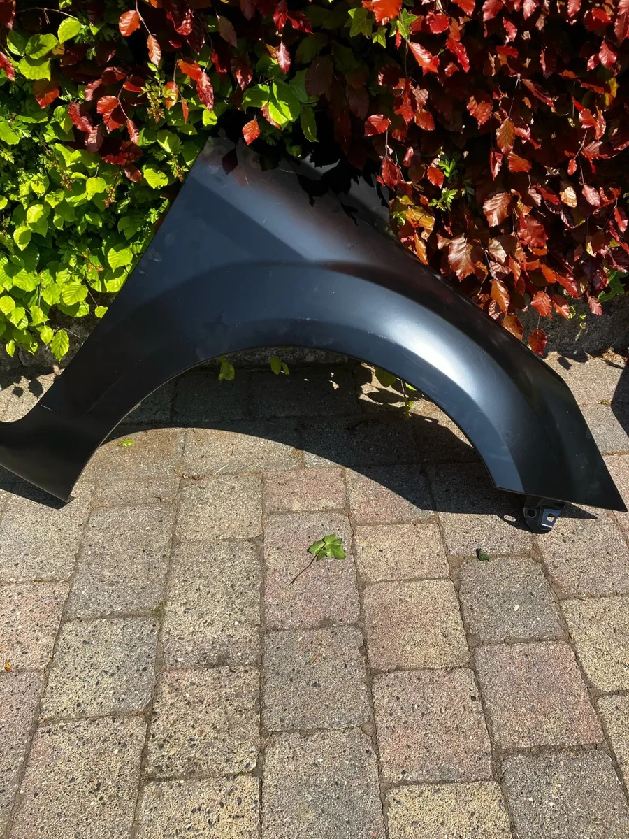 Ford focus wings - Image 1