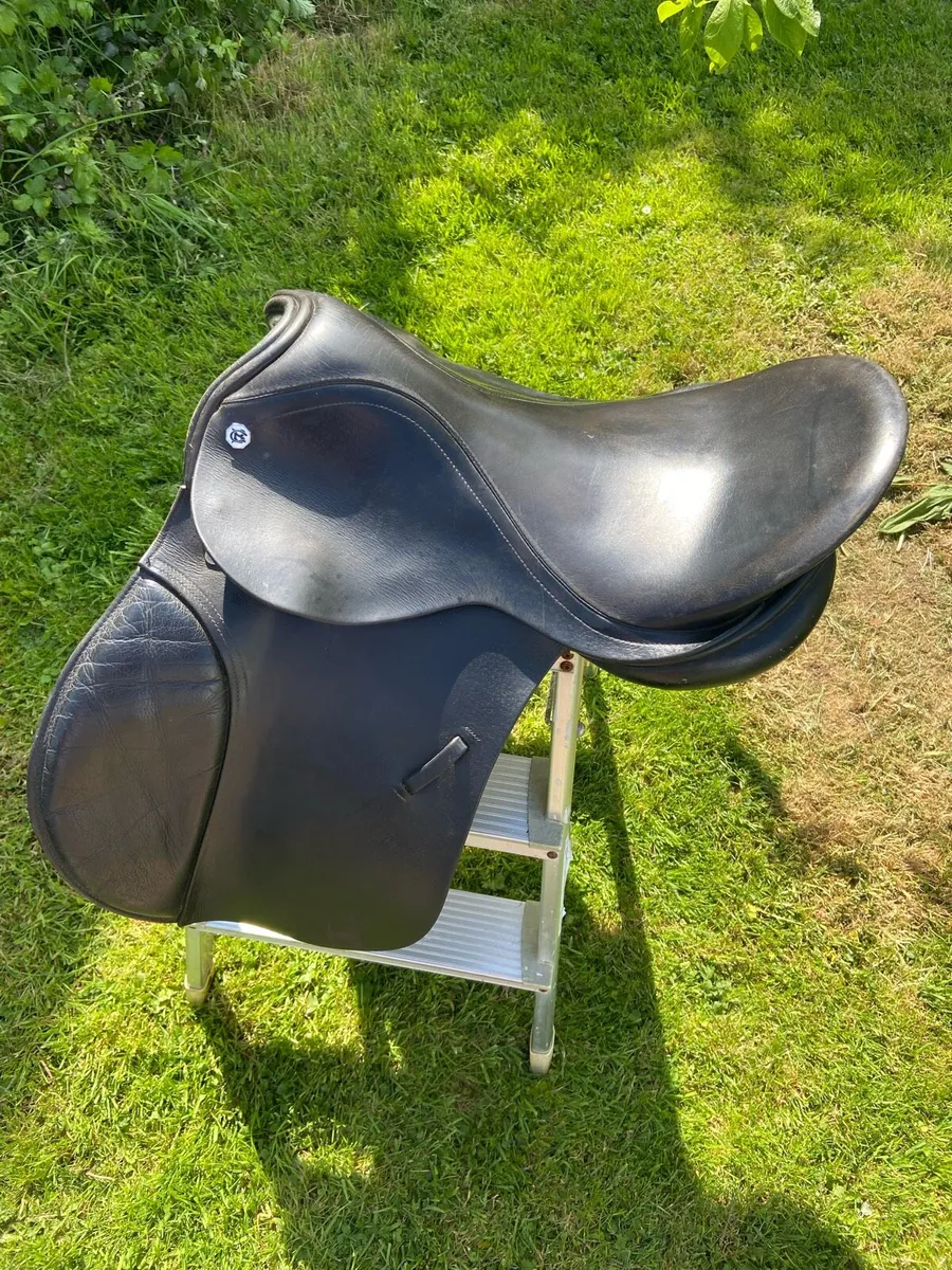Horse equipment - Image 1
