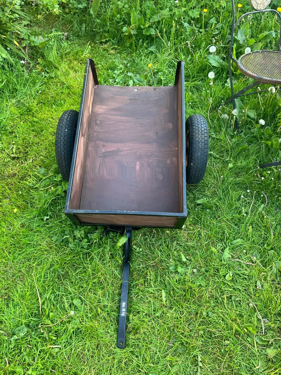 Berg go kart - Image 1