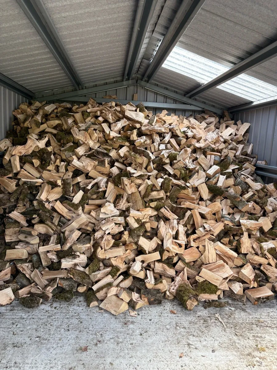 Ash /Beech Timber - Image 1