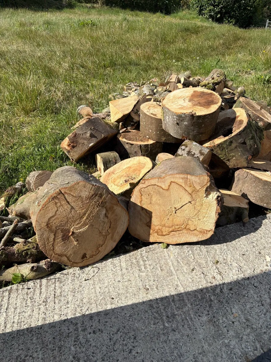 Ash /Beech Timber - Image 2