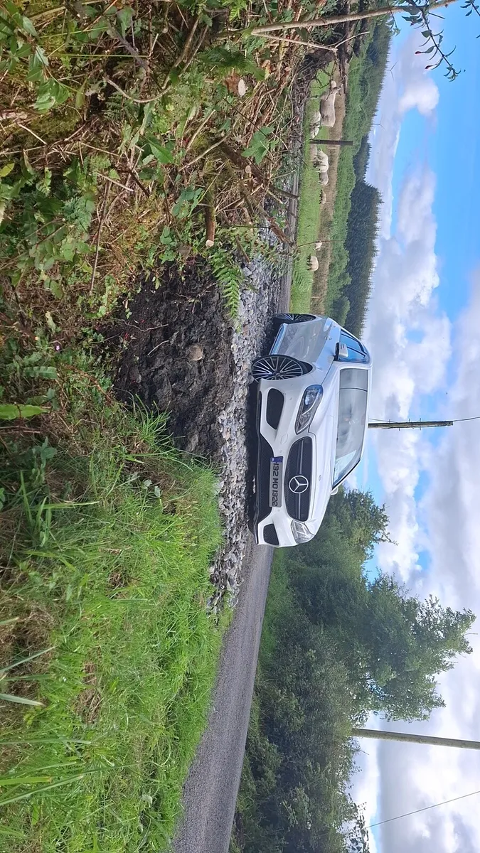 AMG E220 - Image 1