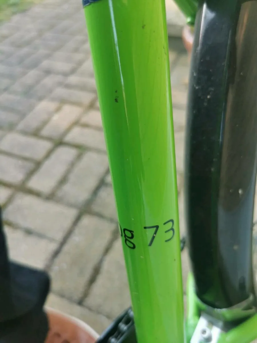 Frog 73 bike - Image 1