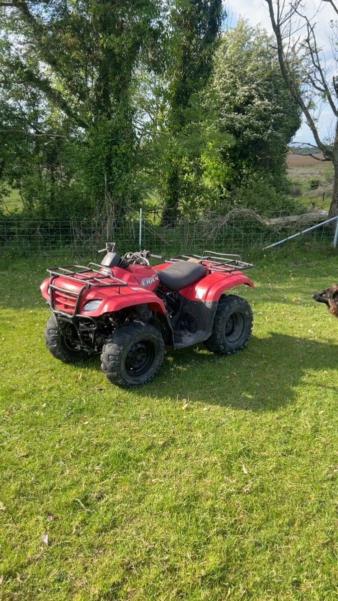 Suzuki eiger 400 - Image 1
