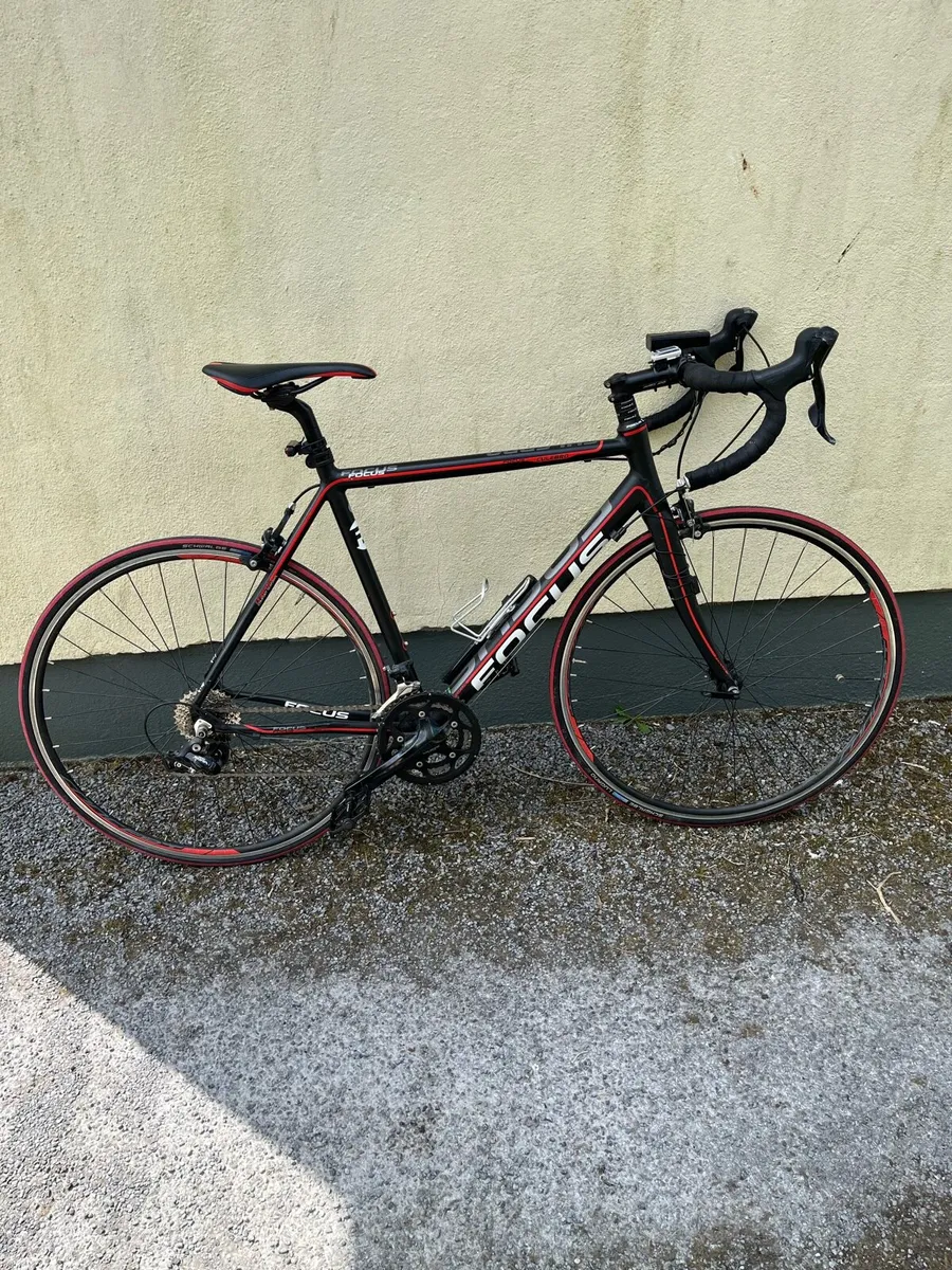 Culebro Focus Road Bike - Image 2