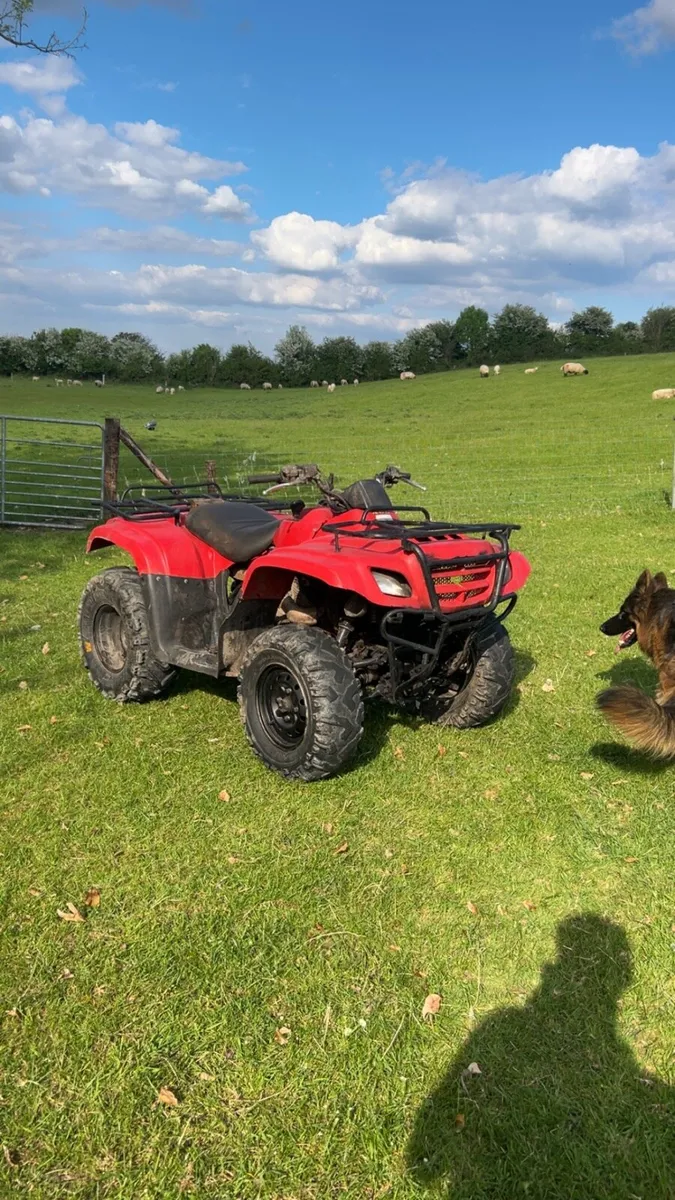 Suzuki eiger 400 - Image 2