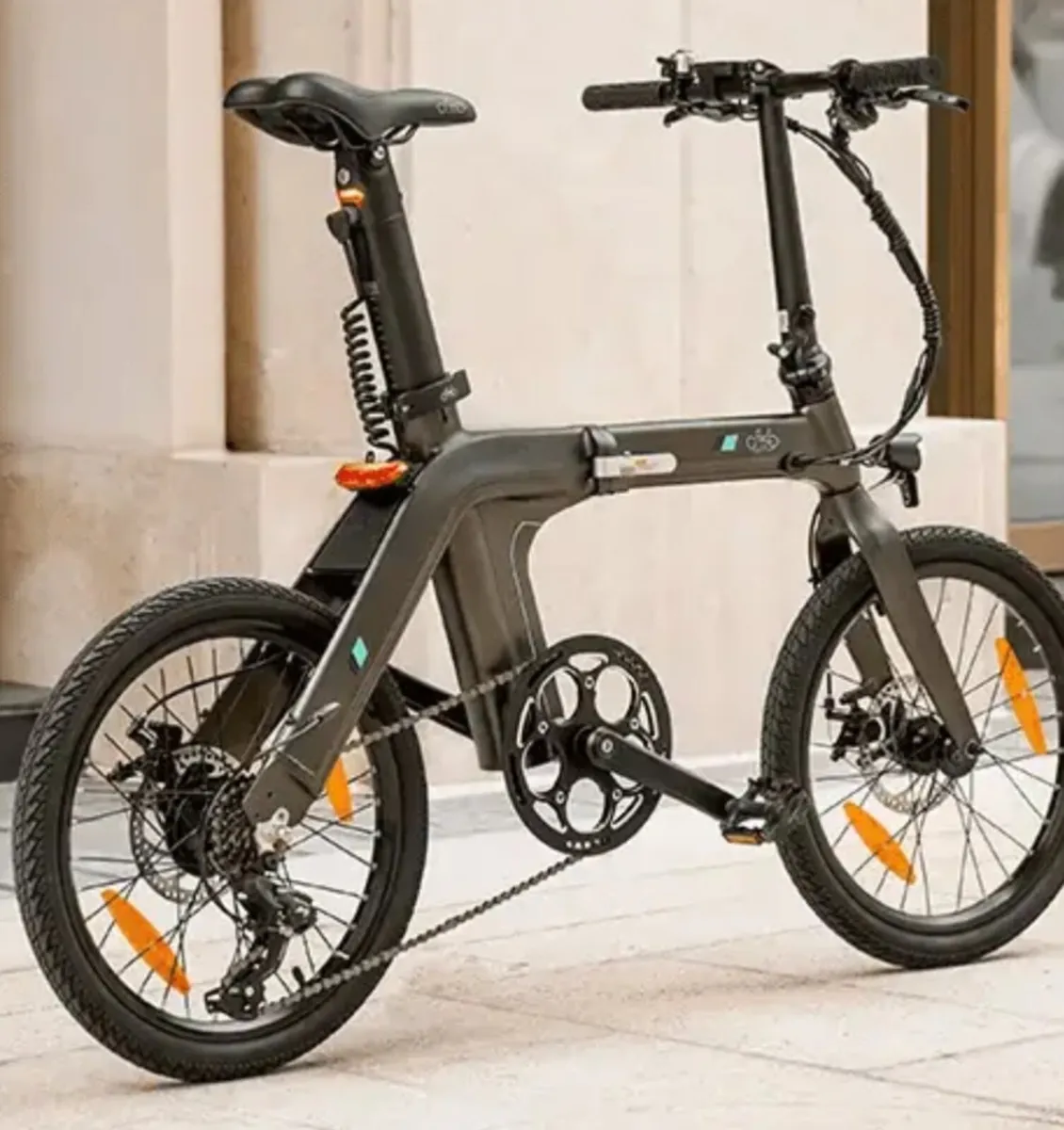 Fiido D21 electric bike