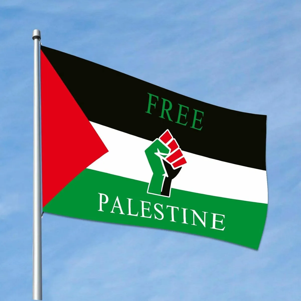 Free Palestine Flag 3x5 Ft   Brand New  Shipping: