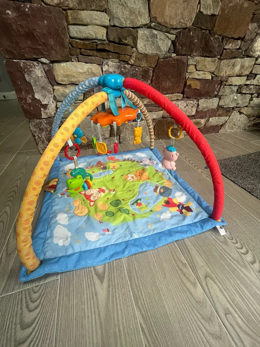 2-in1 Baby Gym - Image 1