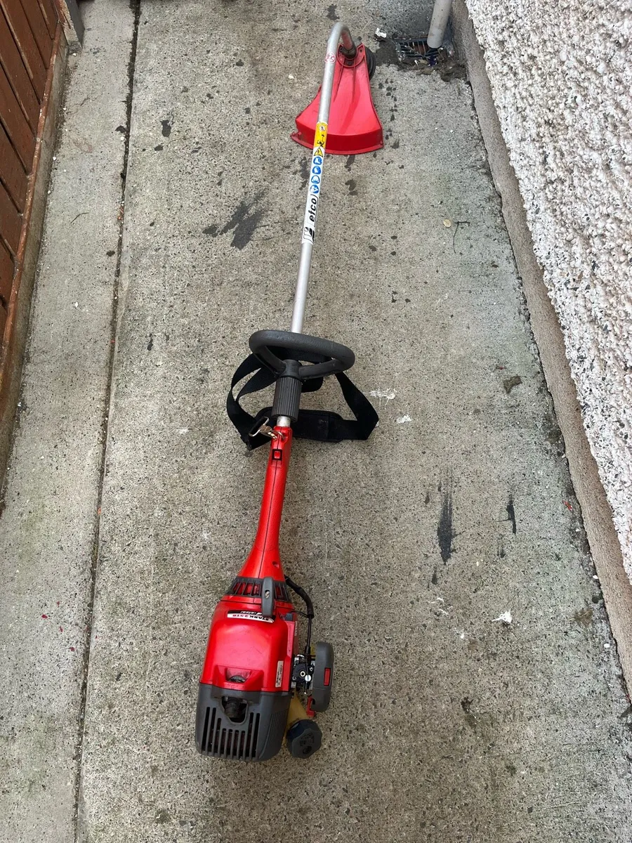 Strimmer - Image 1