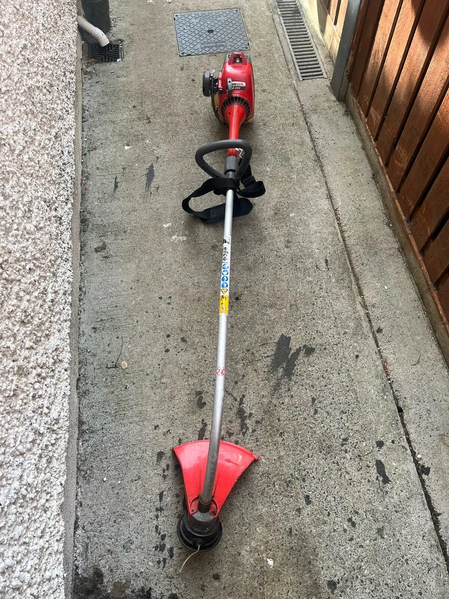 Strimmer - Image 2