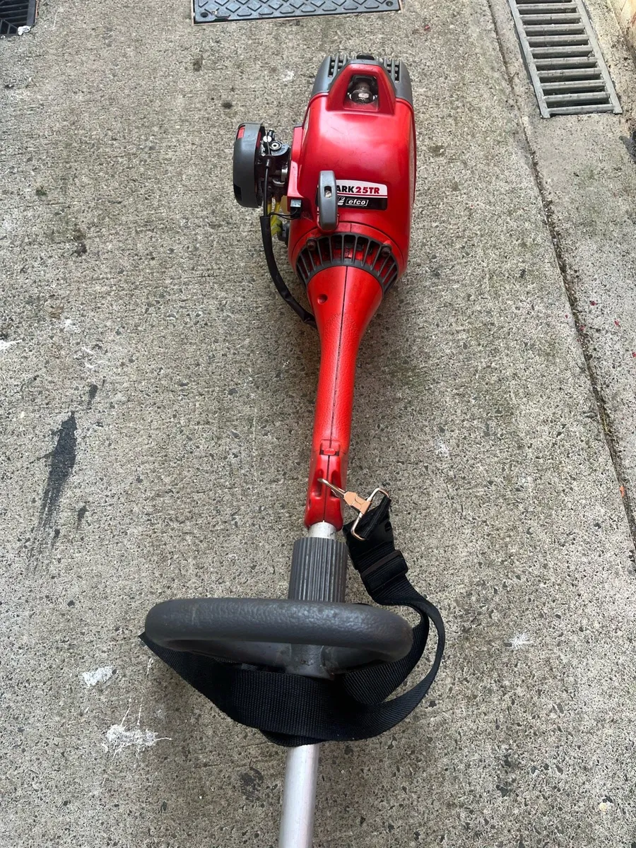 Strimmer - Image 4