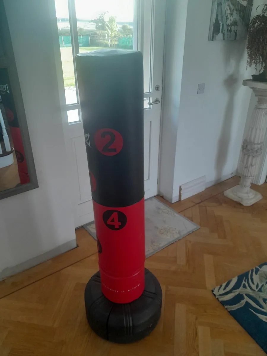 Kick boxing and punching bag - Image 1