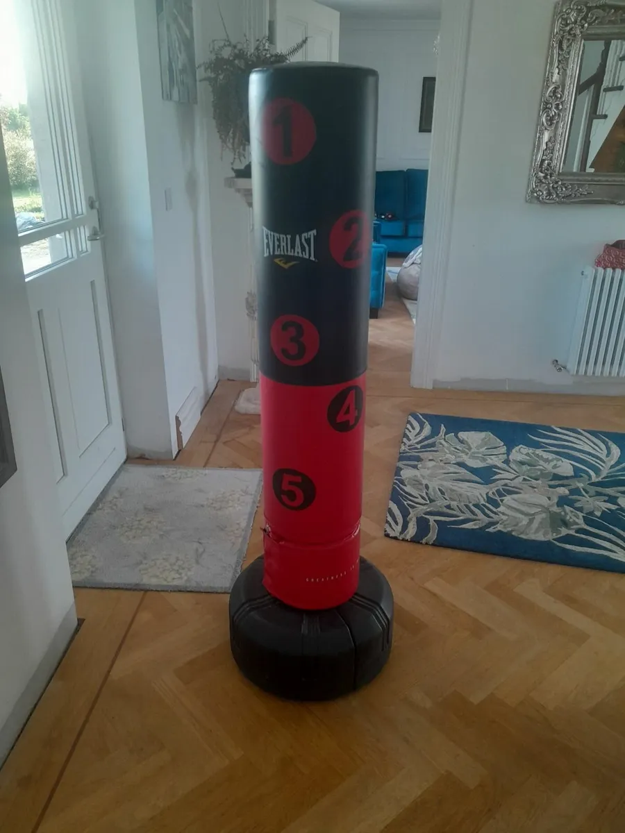 Kick boxing and punching bag - Image 2