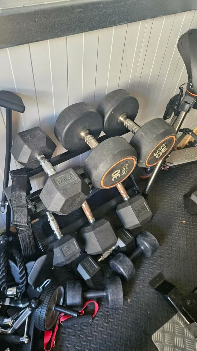 Weights - Image 1