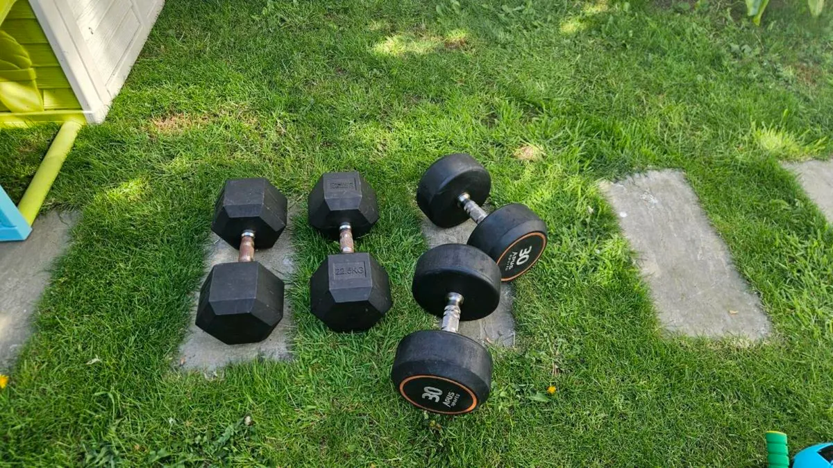 Weights - Image 2