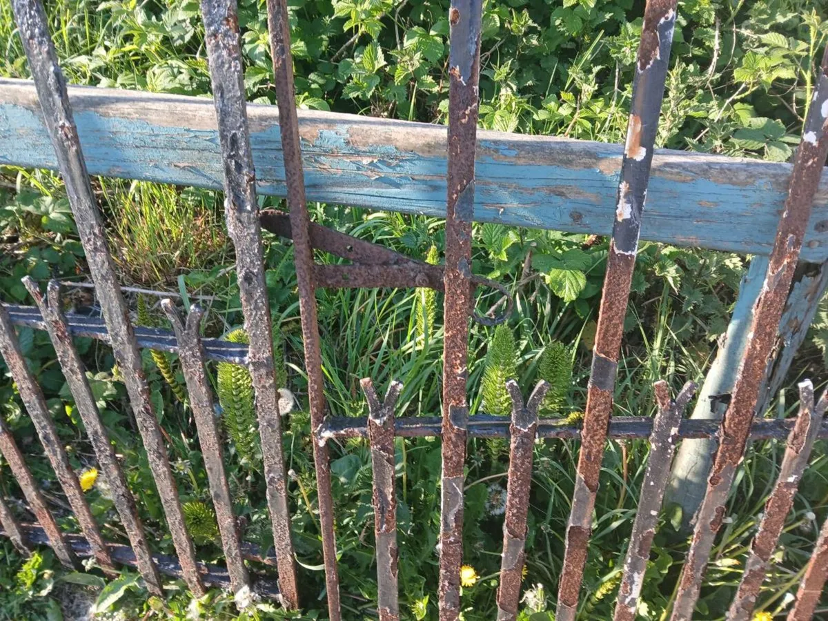 8 ft wrought iron hand forged gates - Image 2