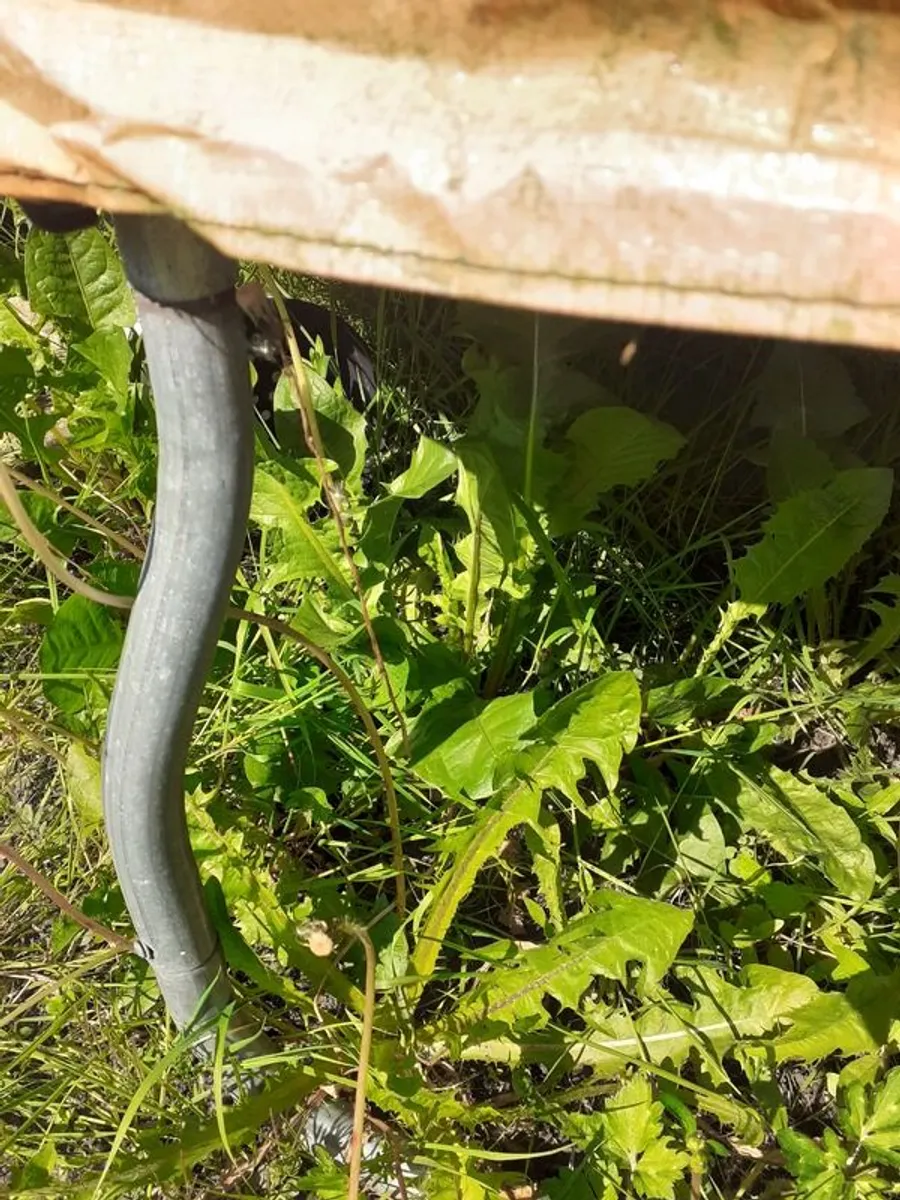 Large trampoline - Image 4