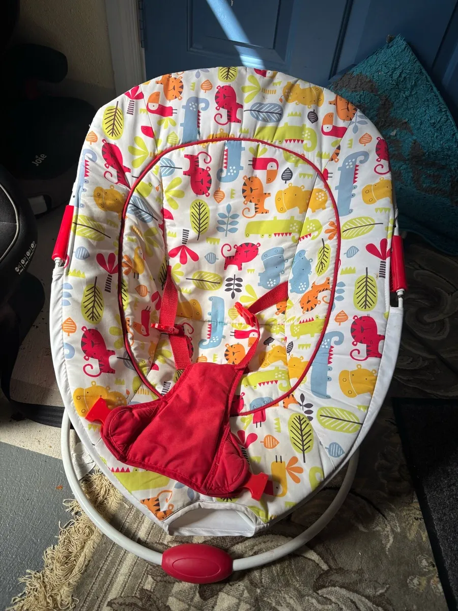 Baby bouncer