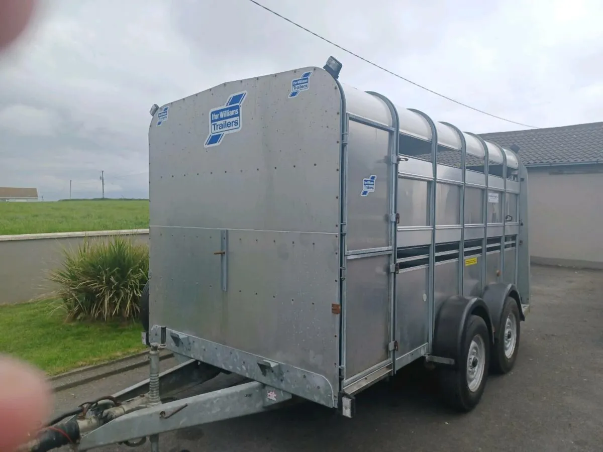 Mint I.W 12 x 6 Cattle Trailer For Sale - Image 1