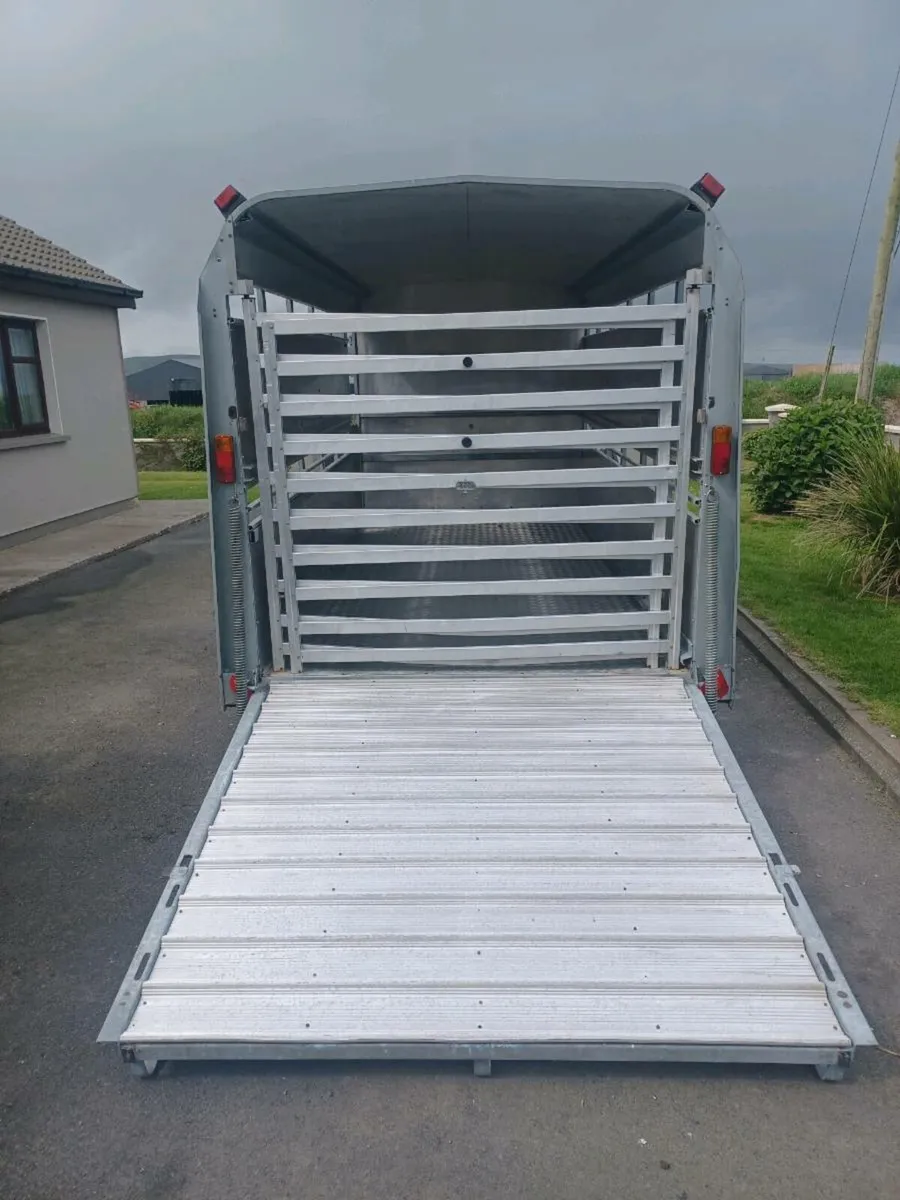 Mint I.W 12 x 6 Cattle Trailer For Sale - Image 3
