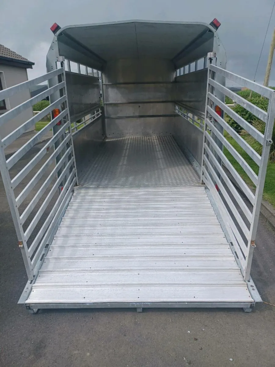 Mint I.W 12 x 6 Cattle Trailer For Sale - Image 4