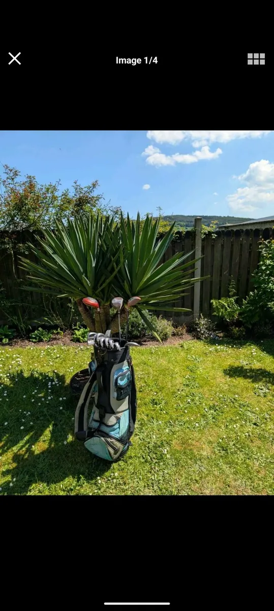 Golf clubs must go today BARGAIN - Image 1