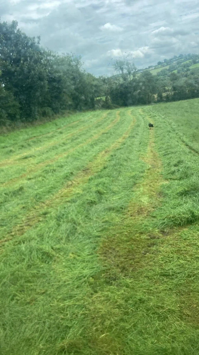 Silage Meadows - Image 1