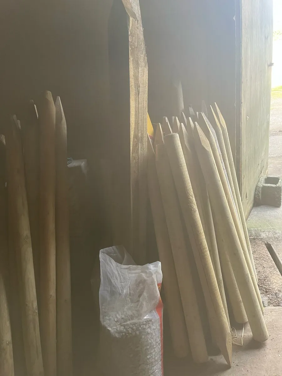Wooden stakes - Image 1
