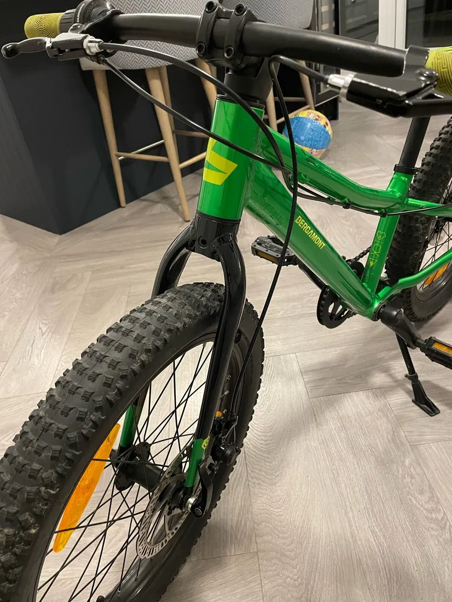 Bergamont Bergamonster 20” Kids Mountain Bike - Image 2