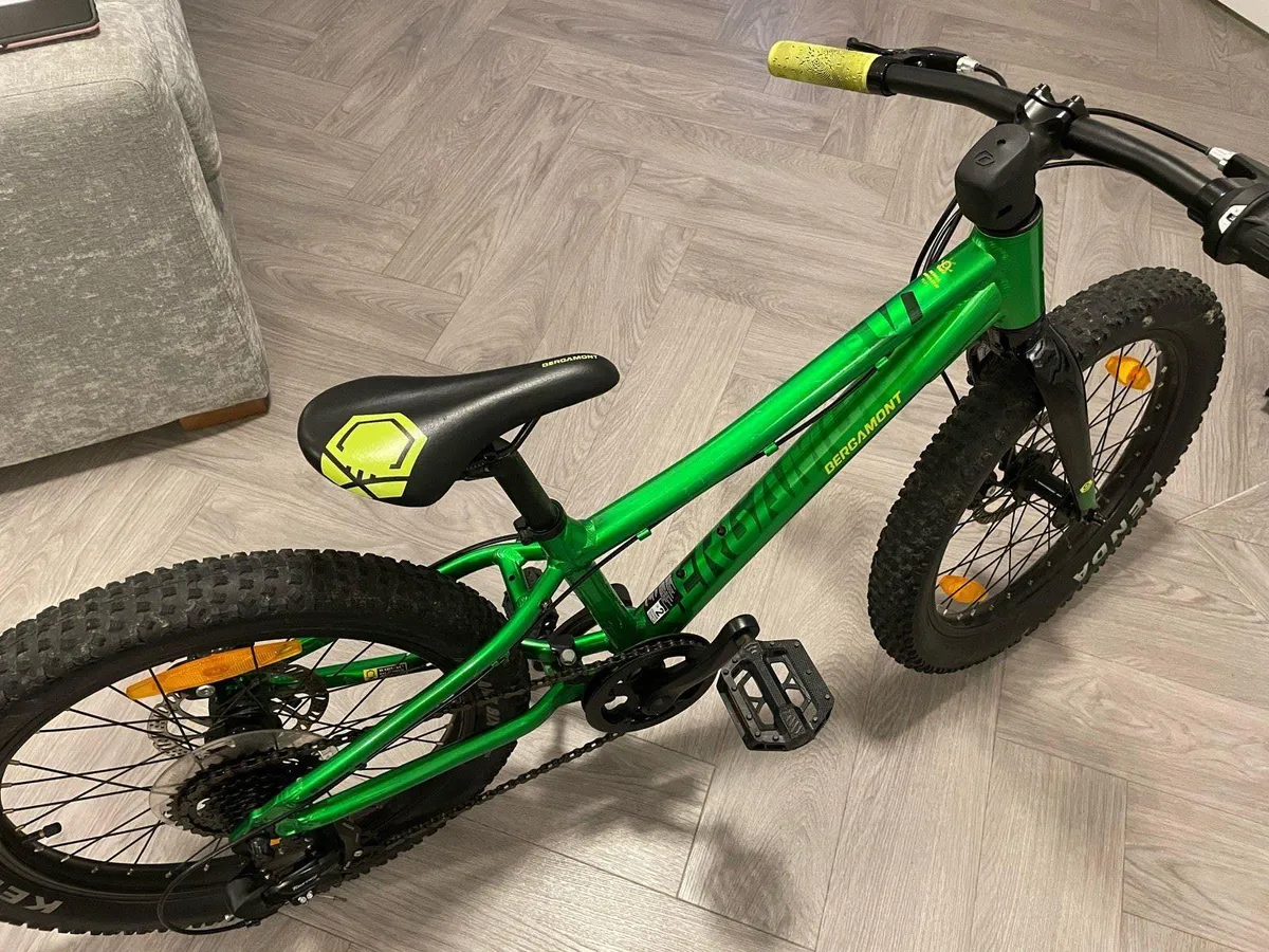 Bergamont Bergamonster 20” Kids Mountain Bike - Image 1