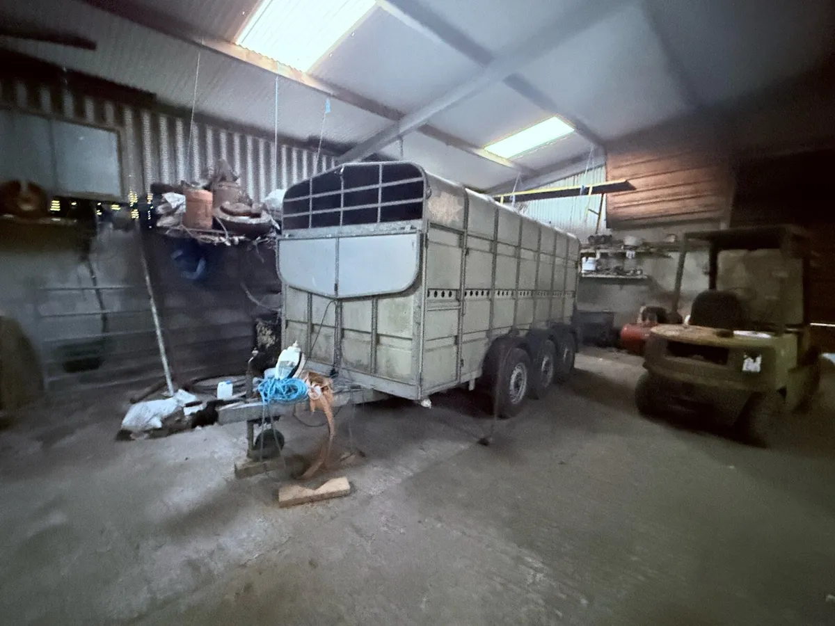 Murphy’s Trailer - Image 1