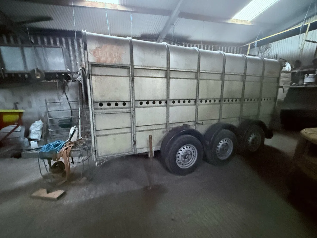 Murphy’s Trailer - Image 4