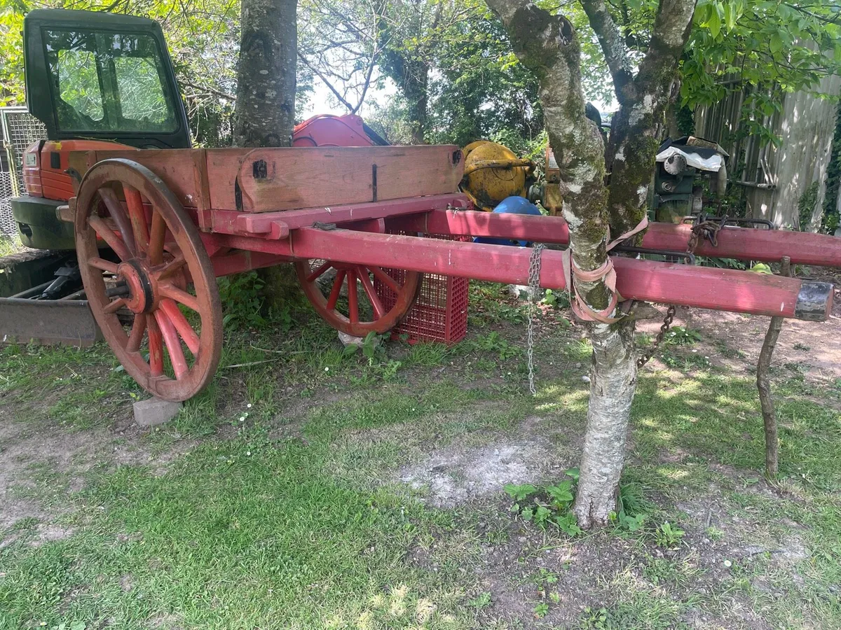 Horse car - Image 2