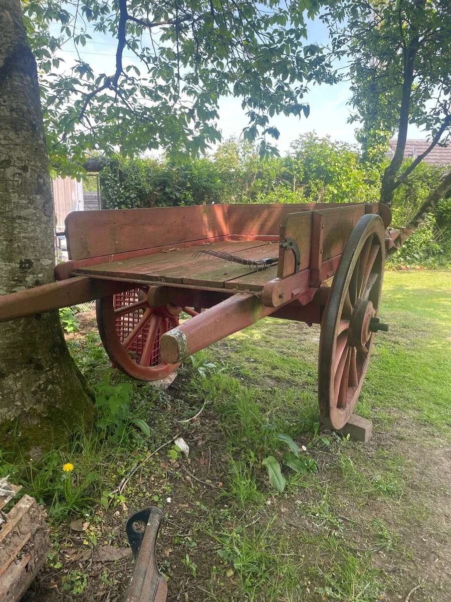 Horse car - Image 3