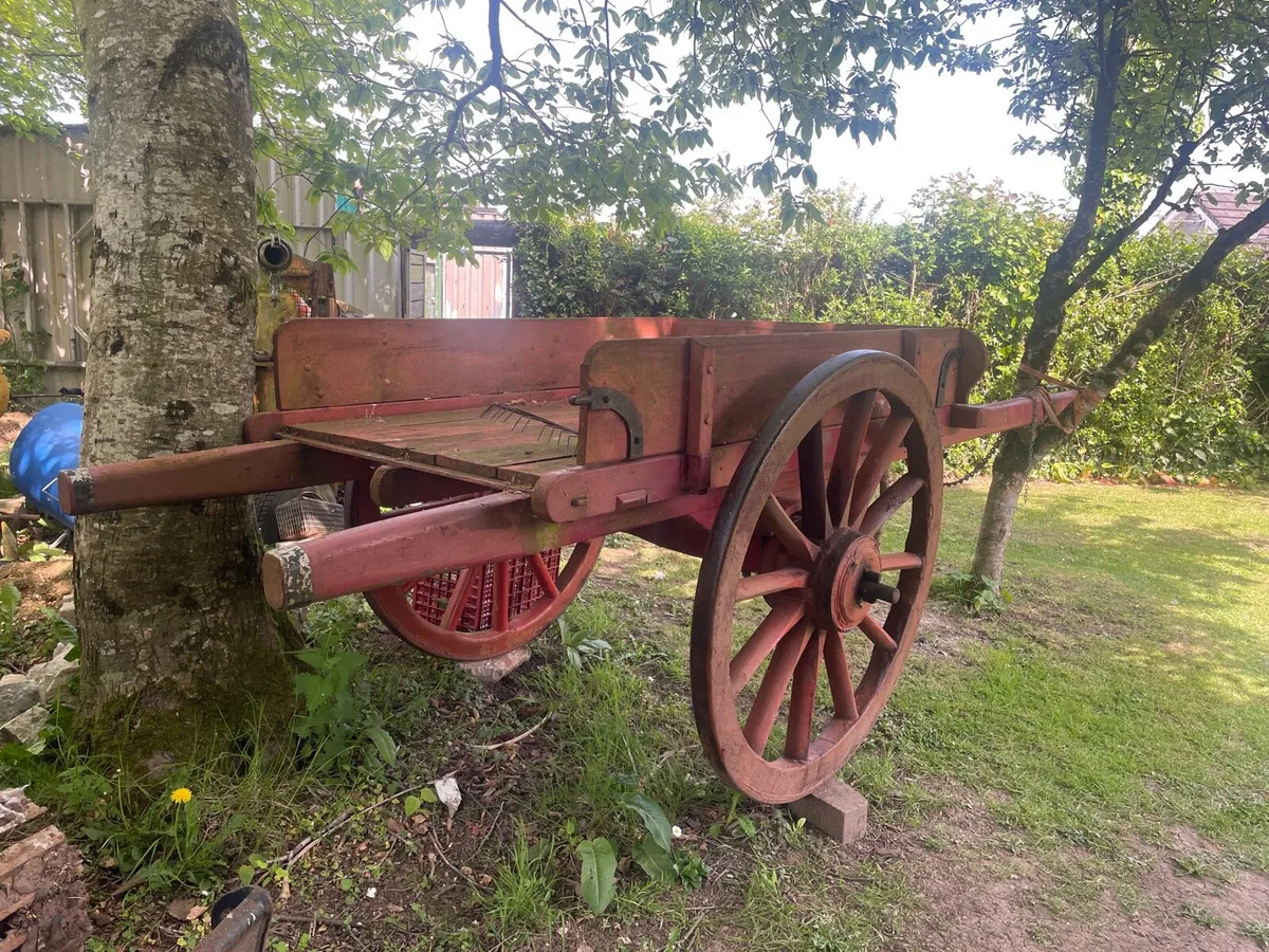 Horse car - Image 1